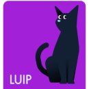 낙타와돌고래 이미지