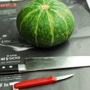 엔젤피쉬(2007.11.29.목) 이미지