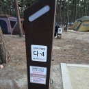 산해루 | 부안 고사포에서 텐트치고 조개잡고 1석2조야간해루질 ,꿀팁,테무산해루질템