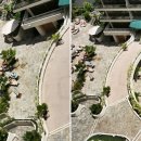 온더비치(on the beach) 이미지