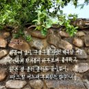 속초시배드민턴협회 | 속초 설악산 숙소 상도문 돌담마을 복돌네 민박 한옥 2박 바베큐 취사