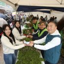 희망의 나무 이미지