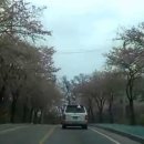 장안웃길 이미지