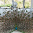 참우농장 이미지