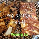 야초원 | 영주 야초원 돼지갈비 가격 주차 후기