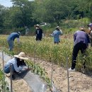 정읍시청 이미지