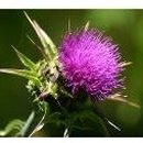 예명메디칼 이미지