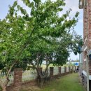 동해공인중개사사무소 이미지