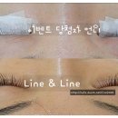 라인앤 이미지