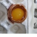 정란농장 네이버블로그