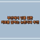 뉴튼치과병원 | 부산에서 잇몸 질환 치료를 잘하는 뉴튼치과 추천
