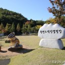 도덕산캠핑장 이미지