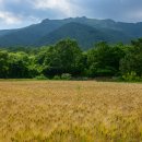 양산, 통도사와 주변 암자들 이미지