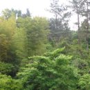 회성동267 이미지