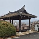 순천향매실마을 | 26년03월25일 순천 향매실마을 일대에 매화 발화 상태 지금 다녀 오셔야 합니다