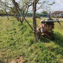 수종농장 이미지