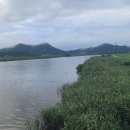 지산(팽목)