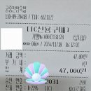 궁중한방족발