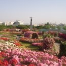 조선대학교 장미원 이미지