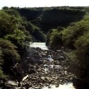 제주 안덕계곡 상록수림 이미지