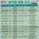 씨돌농장 이미지