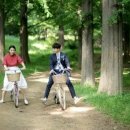 43에비뉴 이미지