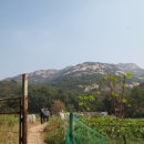 준식농장 이미지