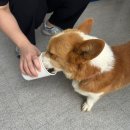 하주초등학교 이미지