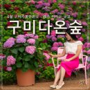 구미 다온숲화장실 이미지