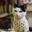 고마워 MIN 이미지