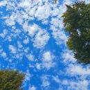 인흥소고기국밥 이미지