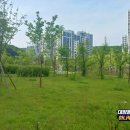 힐스테이트6단지경로당 이미지