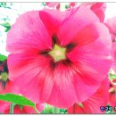 송현여자고등학교 이미지