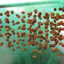 청도주유소 이미지