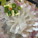 회뜨는아지야 이미지