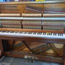 영창식당 이미지