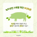 보성녹돈 네이버블로그