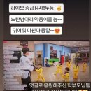 용인대마루태권도장 이미지