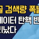 빅데이터 탄핵 반대 난리났다~!! 구글 검색량 폭발 이미지