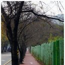 이현주공아파트 정문 건너 | 진주 둘레(10)山 종주(집<맨발산행337>07:11-양마산초입07:45-1양마산08:11-2병풍산10:17-약수암11:25-3...