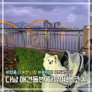 41190-01-07-182 | 다낭 애견동반 시내 여행 코스 | 영흥사·용다리·맛집·카페 추천