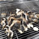 용궁 민물장어 이미지