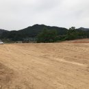 태성태양광발전소 이미지