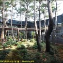 서귀포기적의도서관 이미지