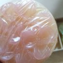 하니농원