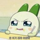 풍성양