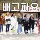 밥스타 이미지