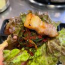 광천읍행정복지센터앞 - 좌 | [참한집 광장코아점] 광장코아 맛집, 광코 고기집, 대구 달서구 맛집, 광장코아 술집