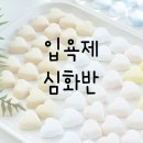 아로마교육전문가양성과정 이미지