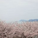 달맞이길 네이버블로그
